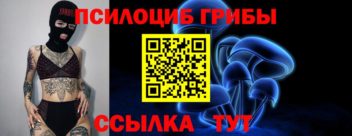Галлюциногенные грибы Magic Shrooms  Галлюциногенные грибы GOLDEN TEACHER  Вход с VPN  Фрязино 